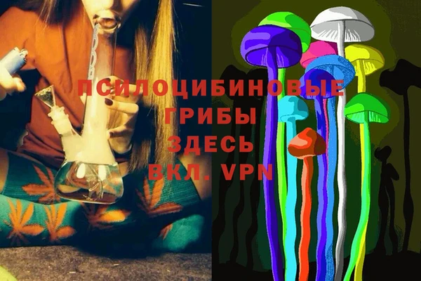 Альфа ПВП Алексин