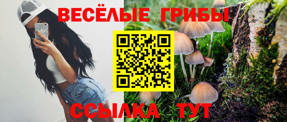 Псилоцибиновые грибы Cubensis Биробиджан