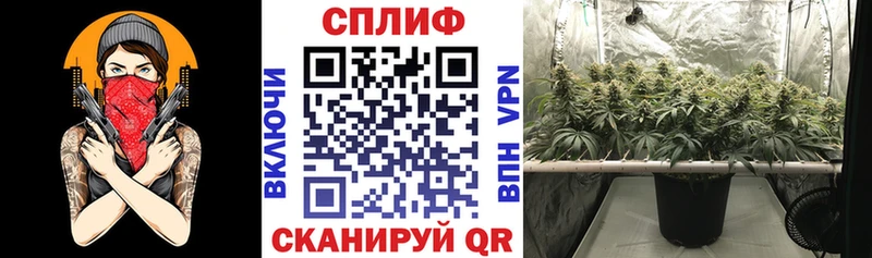 Бошки марихуана LSD WEED  Биробиджан 